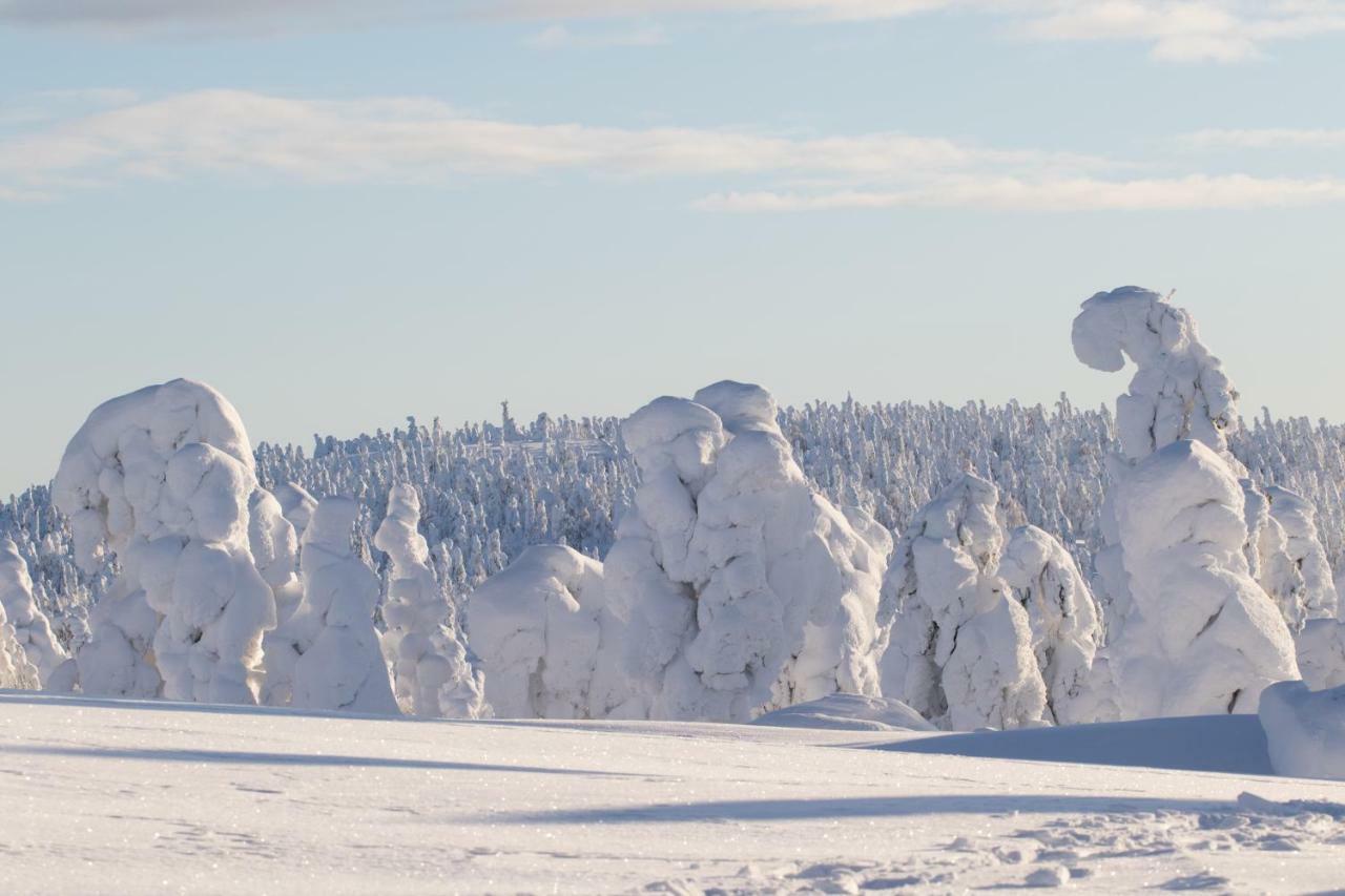 Lapland Villa Pyhätunturi Exterior foto