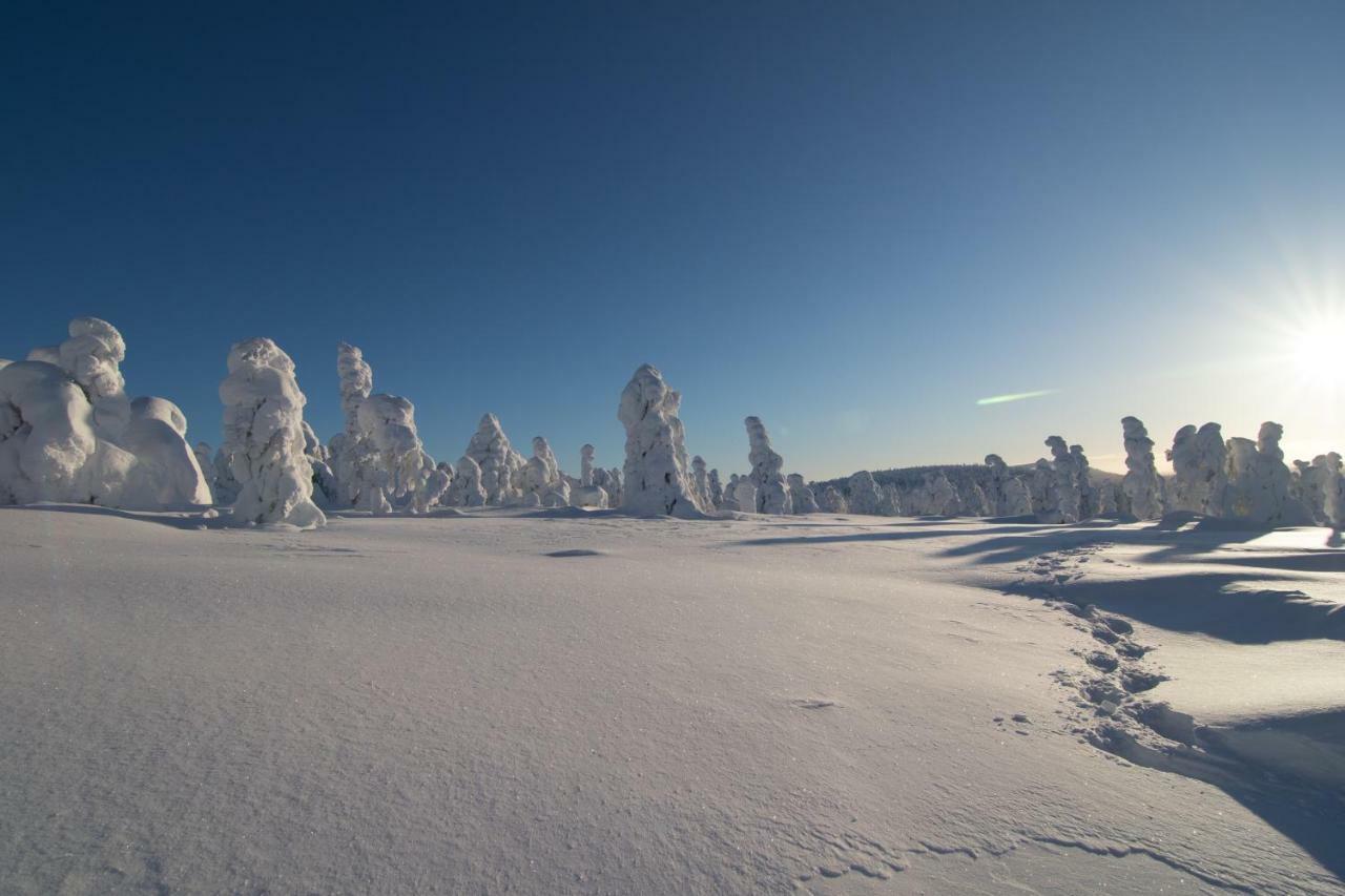 Lapland Villa Pyhätunturi Exterior foto